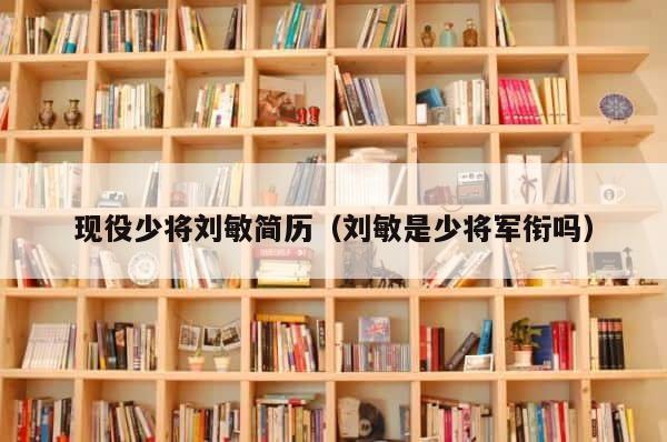 现役少将刘敏简历（刘敏是少将军衔吗） 第1张
