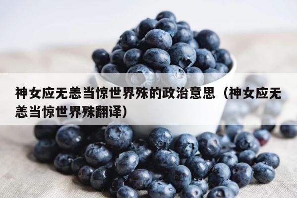 神女应无恙当惊世界殊的政治意思（神女应无恙当惊世界殊翻译） 第1张