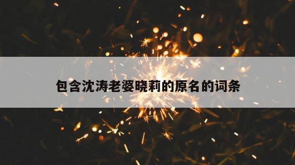 包含沈涛老婆晓莉的原名的词条 第1张