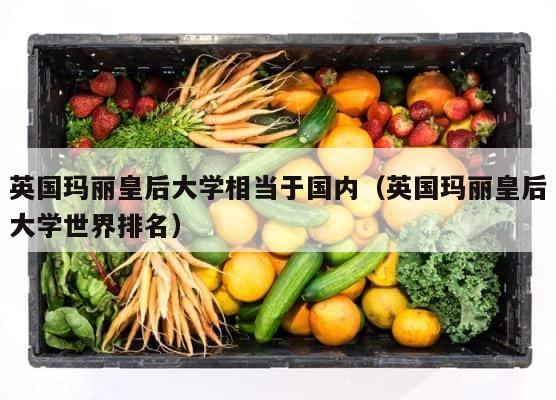 英国玛丽皇后大学相当于国内（英国玛丽皇后大学世界排名） 第1张