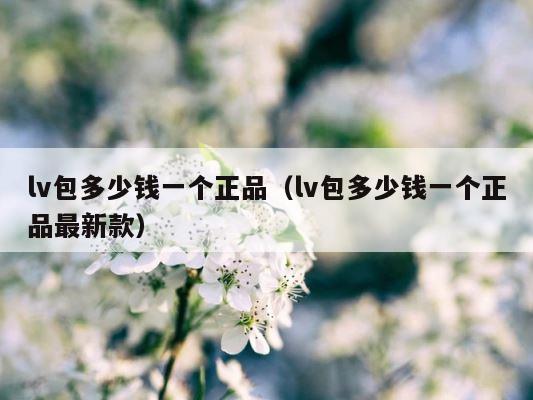 lv包多少钱一个正品（lv包多少钱一个正品最新款） 第1张