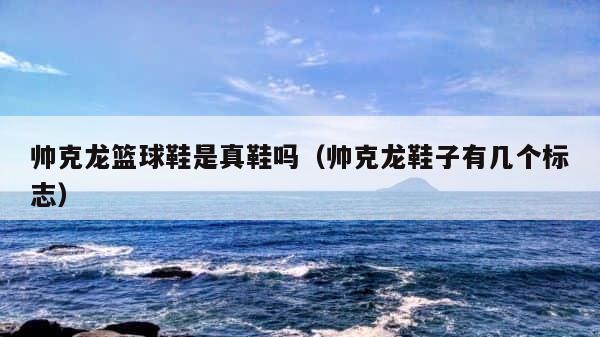 帅克龙篮球鞋是真鞋吗（帅克龙鞋子有几个标志） 第1张