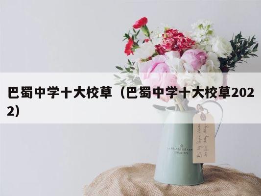 巴蜀中学十大校草（巴蜀中学十大校草2022） 第1张