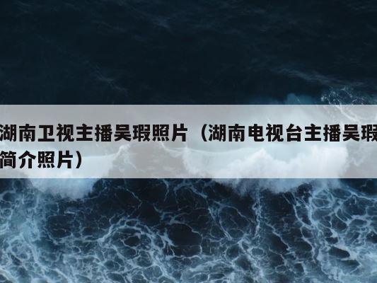 湖南卫视主播吴瑕照片（湖南电视台主播吴瑕简介照片） 第1张