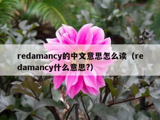 redamancy的中文意思怎么读（redamancy什么意思?） 第1张