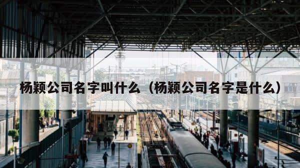 杨颖公司名字叫什么（杨颖公司名字是什么） 第1张