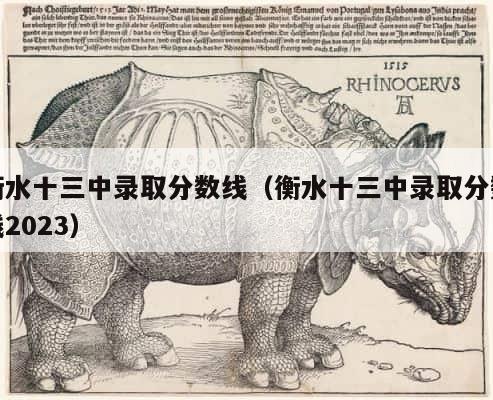 衡水十三中录取分数线（衡水十三中录取分数线2023） 第1张