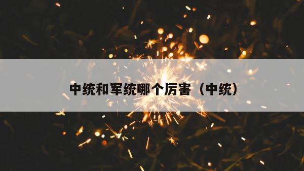 中统和军统哪个厉害（中统） 第1张