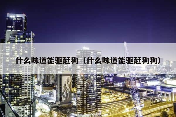 什么味道能驱赶狗（什么味道能驱赶狗狗） 第1张