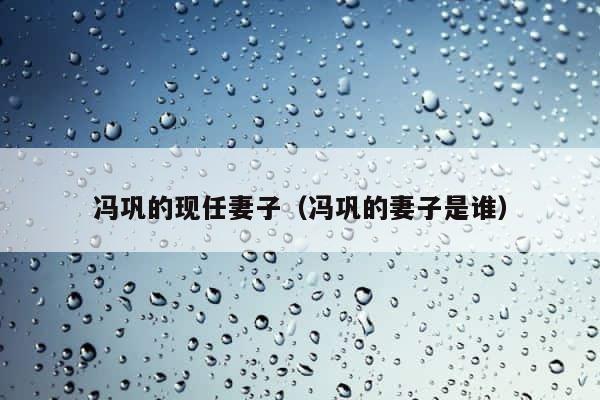 冯巩的现任妻子（冯巩的妻子是谁） 第1张