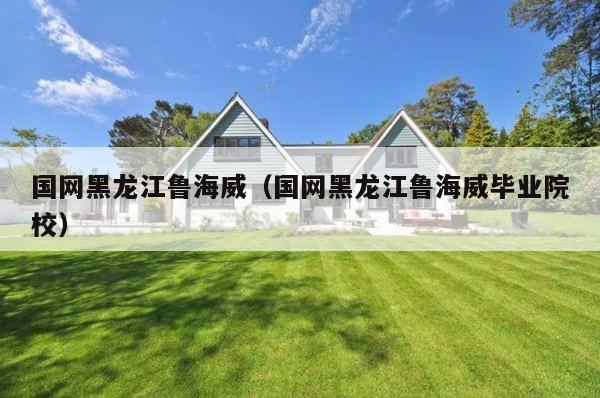 国网黑龙江鲁海威（国网黑龙江鲁海威毕业院校） 第1张