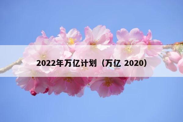 2022年万亿计划（万亿 2020） 第1张