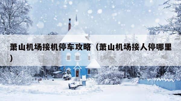 萧山机场接机停车攻略（萧山机场接人停哪里） 第1张