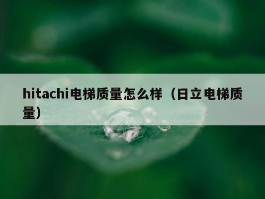 hitachi电梯质量怎么样（日立电梯质量） 第1张