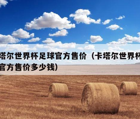 卡塔尔世界杯足球官方售价（卡塔尔世界杯足球官方售价多少钱） 第1张