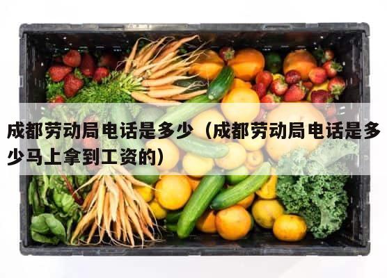 成都劳动局电话是多少（成都劳动局电话是多少马上拿到工资的） 第1张