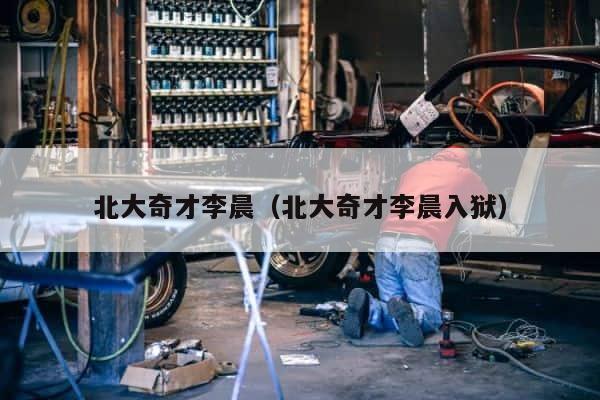 北大奇才李晨（北大奇才李晨入狱） 第1张