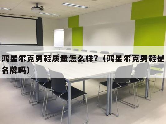 鸿星尔克男鞋质量怎么样?（鸿星尔克男鞋是名牌吗） 第1张