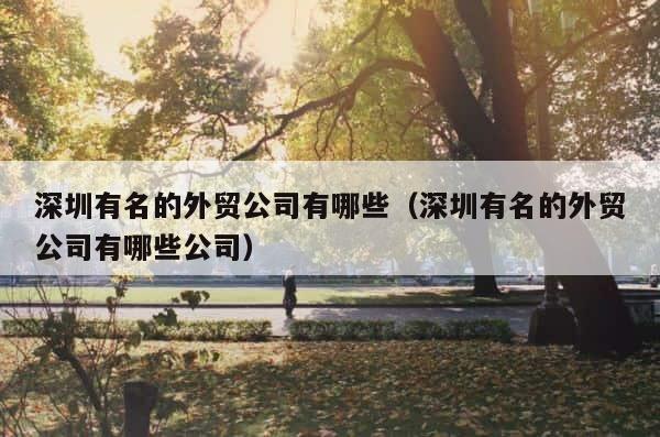 深圳有名的外贸公司有哪些（深圳有名的外贸公司有哪些公司） 第1张