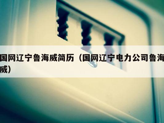 国网辽宁鲁海威简历（国网辽宁电力公司鲁海威） 第1张