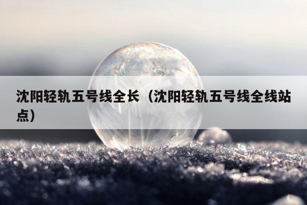 沈阳轻轨五号线全长（沈阳轻轨五号线全线站点） 第1张
