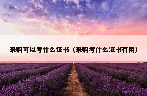 采购可以考什么证书（采购考什么证书有用） 第1张