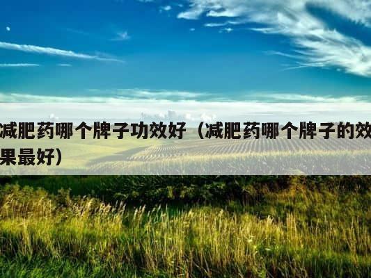 减肥药哪个牌子功效好（减肥药哪个牌子的效果最好） 第1张