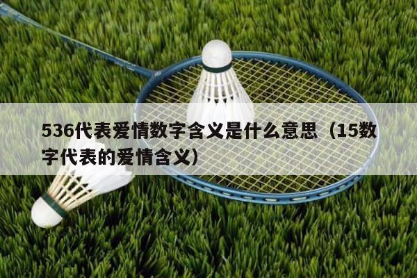 536代表爱情数字含义是什么意思（15数字代表的爱情含义） 第1张