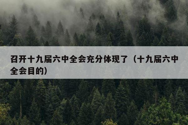 召开十九届六中全会充分体现了（十九届六中全会目的） 第1张
