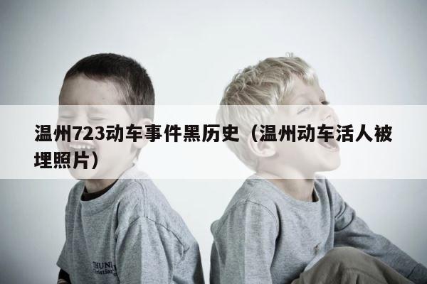 温州723动车事件黑历史（温州动车活人被埋照片） 第1张