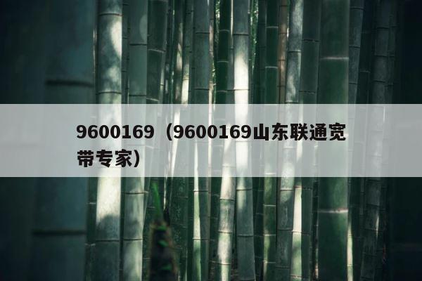9600169（9600169山东联通宽带专家） 第1张