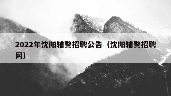 2022年沈阳辅警招聘公告（沈阳辅警招聘网） 第1张