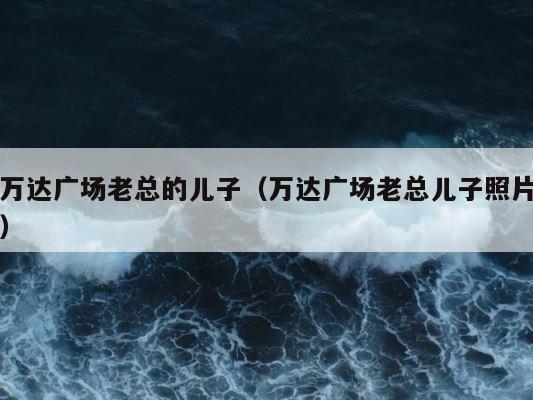 万达广场老总的儿子（万达广场老总儿子照片） 第1张