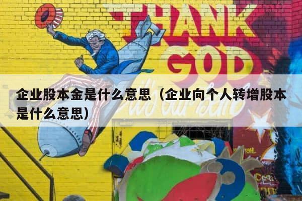 企业股本金是什么意思（企业向个人转增股本是什么意思） 第1张