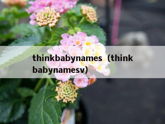thinkbabynames（thinkbabynamesv） 第1张