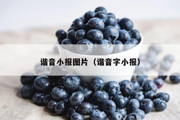 谐音小报图片（谐音字小报） 第1张