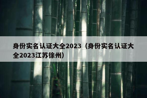 身份实名认证大全2023（身份实名认证大全2023江苏徐州） 第1张