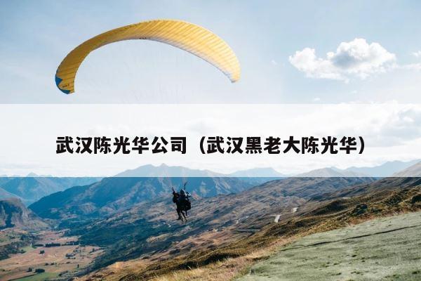 武汉陈光华公司（武汉黑老大陈光华） 第1张