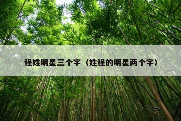 程姓明星三个字（姓程的明星两个字） 第1张