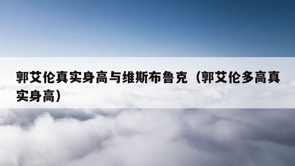 郭艾伦真实身高与维斯布鲁克（郭艾伦多高真实身高） 第1张