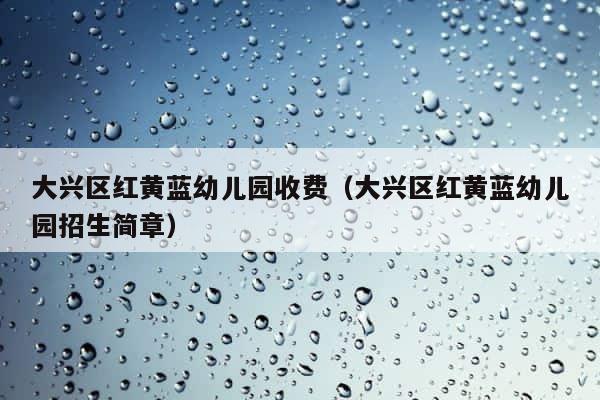 大兴区红黄蓝幼儿园收费（大兴区红黄蓝幼儿园招生简章） 第1张