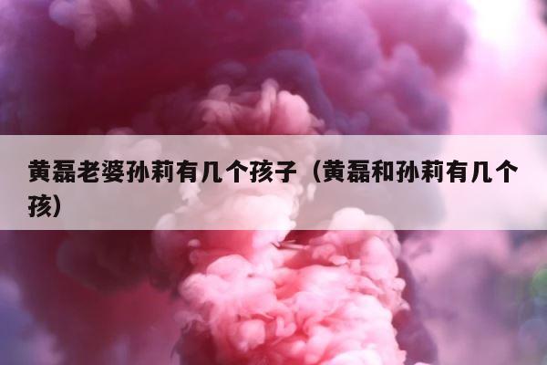 黄磊老婆孙莉有几个孩子（黄磊和孙莉有几个孩） 第1张