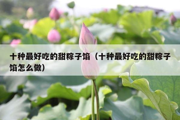 十种最好吃的甜粽子馅（十种最好吃的甜粽子馅怎么做） 第1张