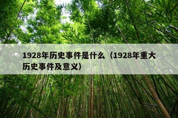 1928年历史事件是什么（1928年重大历史事件及意义） 第1张