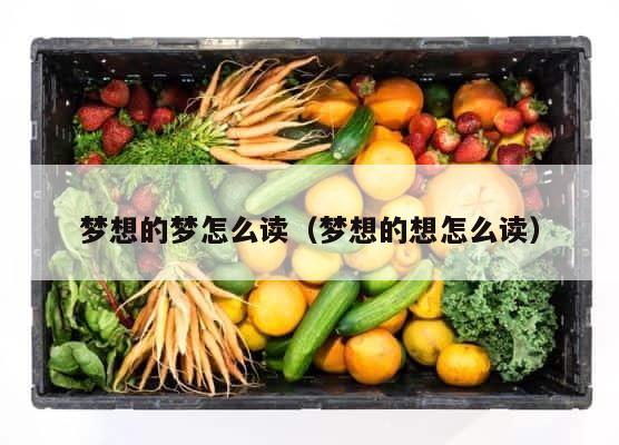 梦想的梦怎么读（梦想的想怎么读） 第1张