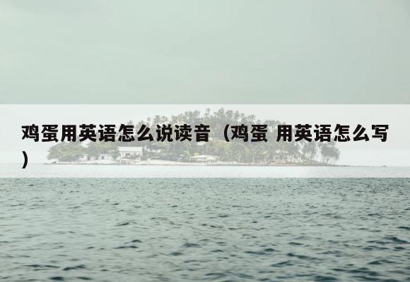 鸡蛋用英语怎么说读音（鸡蛋 用英语怎么写） 第1张
