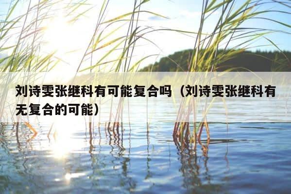 刘诗雯张继科有可能复合吗（刘诗雯张继科有无复合的可能） 第1张