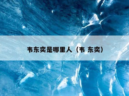 韦东奕是哪里人（韦 东奕） 第1张
