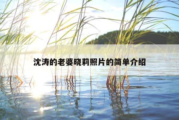 沈涛的老婆晓莉照片的简单介绍 第1张