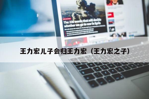 王力宏儿子会归王力宏（王力宏之子） 第1张
